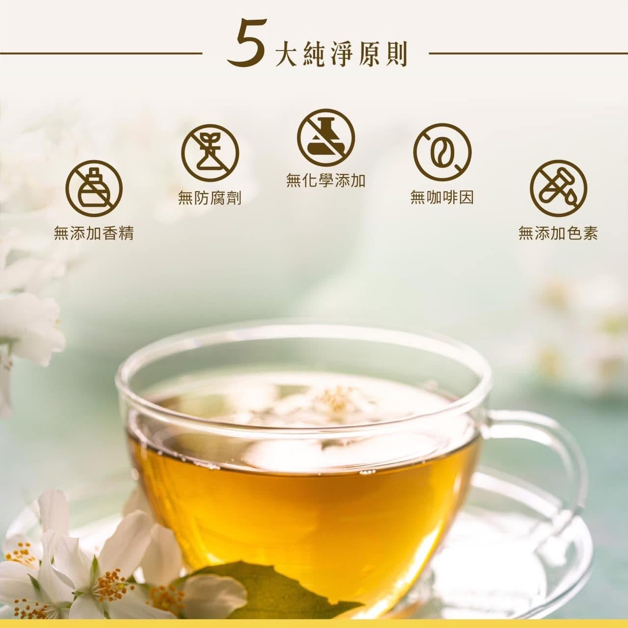 【心定】輕鬆茶 10入